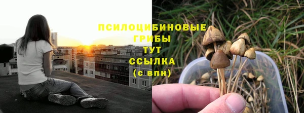 спайс Алзамай