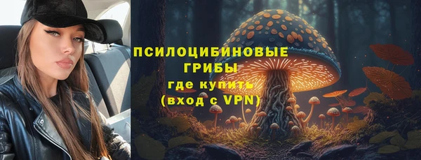 спайс Алзамай