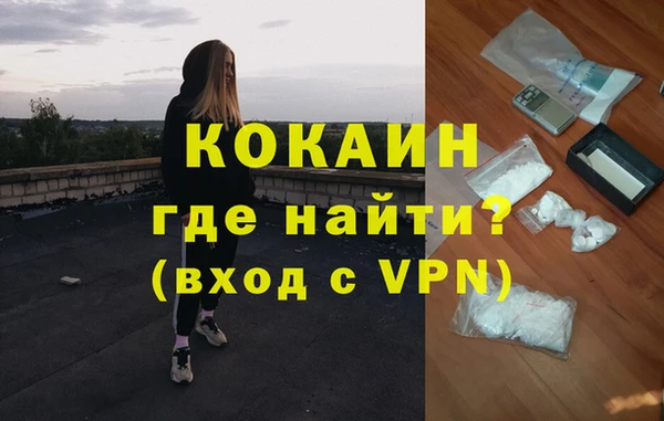 спайс Алзамай
