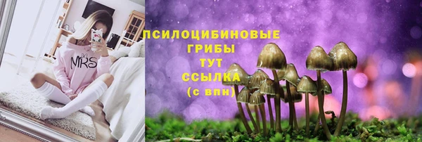 спайс Алзамай