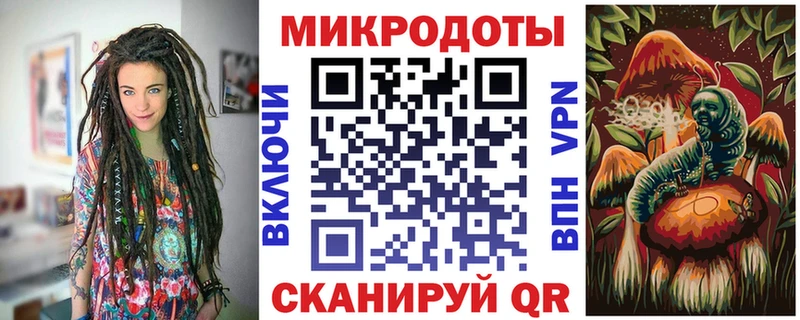 Псилоцибиновые грибы прущие грибы  Тосно 